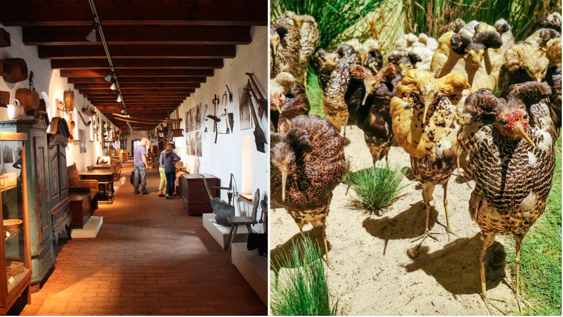 muzeum na zamku w kwidzynie eksponaty