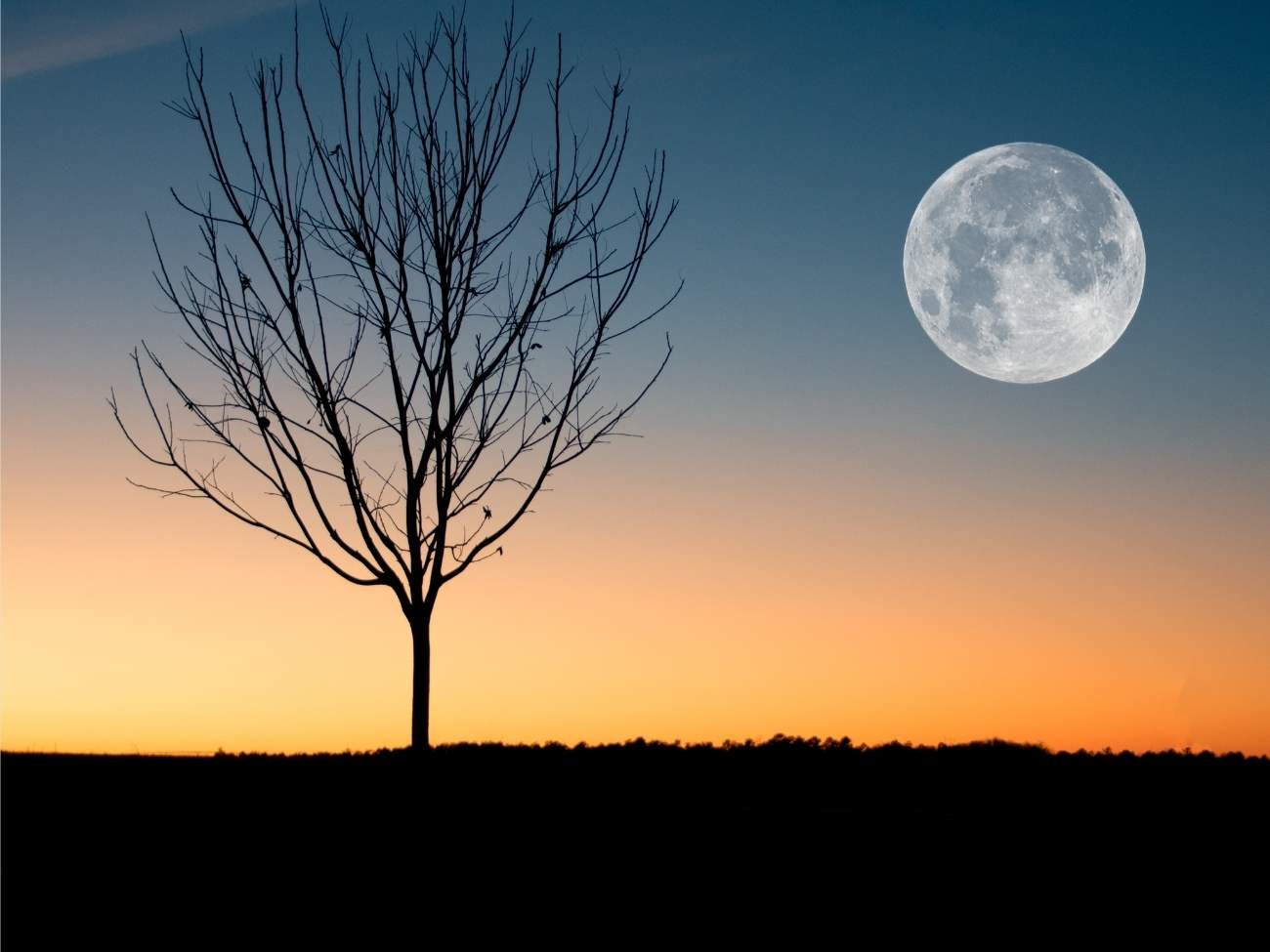 Pełnia Księżyca w październiku 2024. Zobaczymy ją jeszcze przed zachodem Słońca