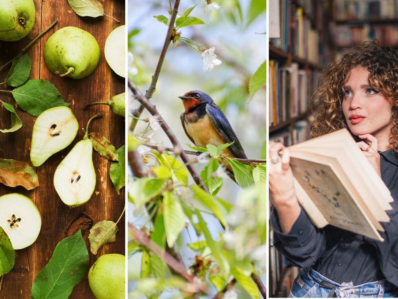 Jesteś dobry z ortografii? Sprawdź się w quizie z pisowni "u" i "ó"