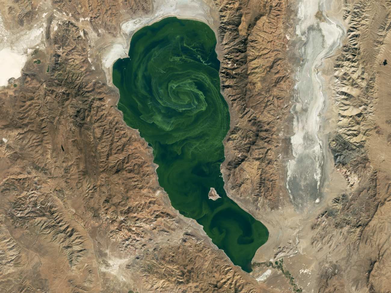 Zielony wir w jeziorze. Jak wytłumaczyć to zjawisko?