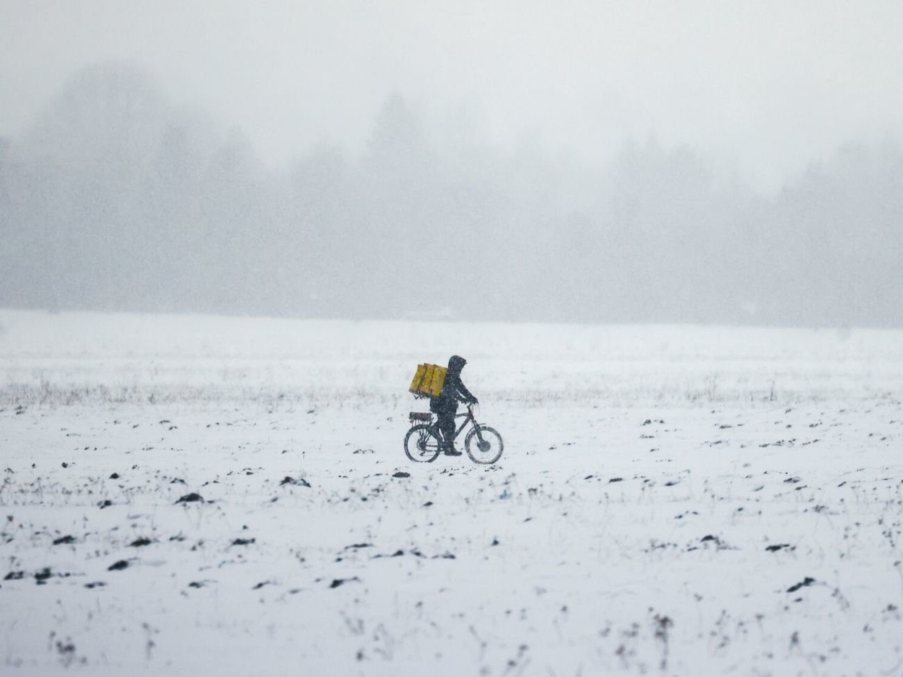 Co to jest wir polarny i jak wpływa na pogodę? Wyjaśniamy