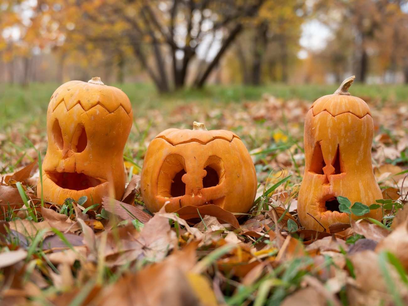 Halloween czy Hallowe'en? Prawie wszyscy popełniają błąd