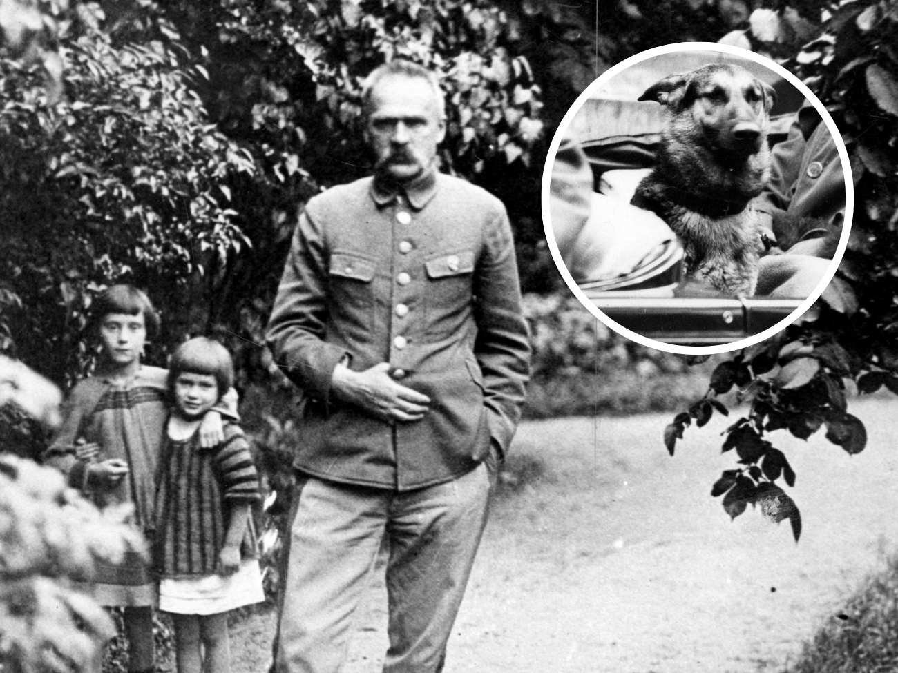 Jak wabił się pies marszałka? Rozwiąż QUIZ historyczny