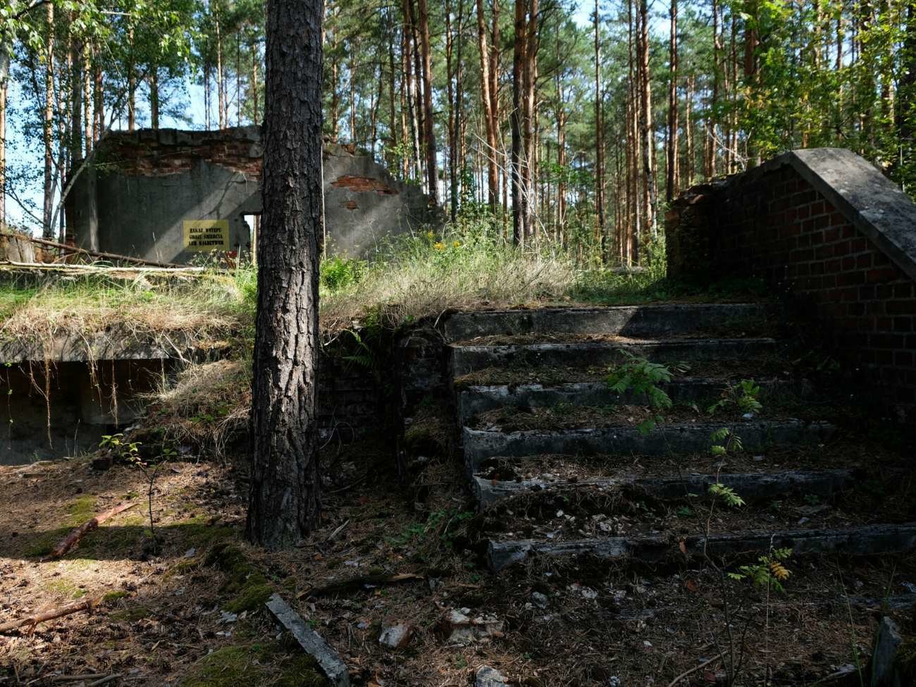 Opuszczone budynki w lesie. Przypominają tajemnicze miasto, którego już nie ma