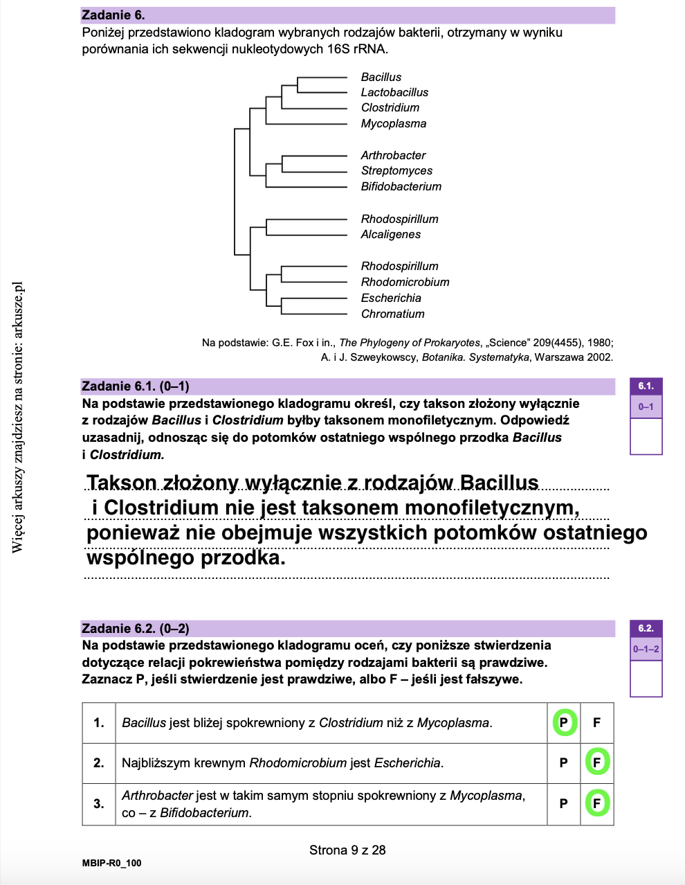 Zrzut ekranu 2024-12-10 o 13.07.33
