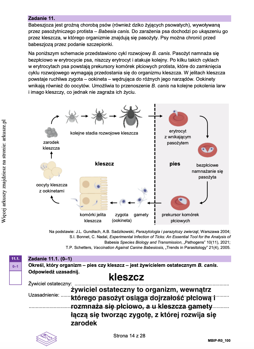 Zrzut ekranu 2024-12-10 o 13.34.36
