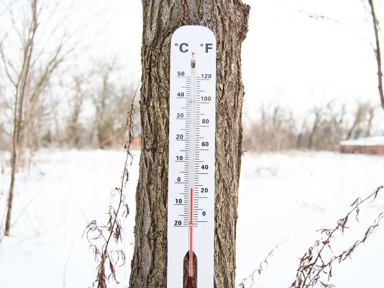 Jaka będzie zima 2024/2025? Styczeń będzie cieplejszy niż zwykle?