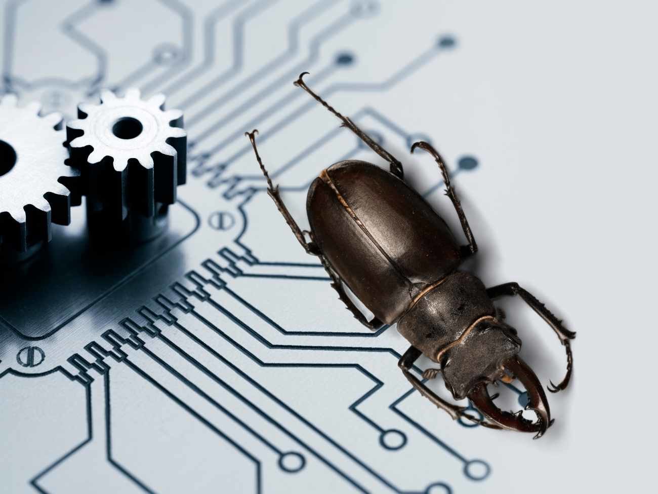 Stworzyli chrząszcza z cybernetycznym implantem. Można nim sterować zdalnie