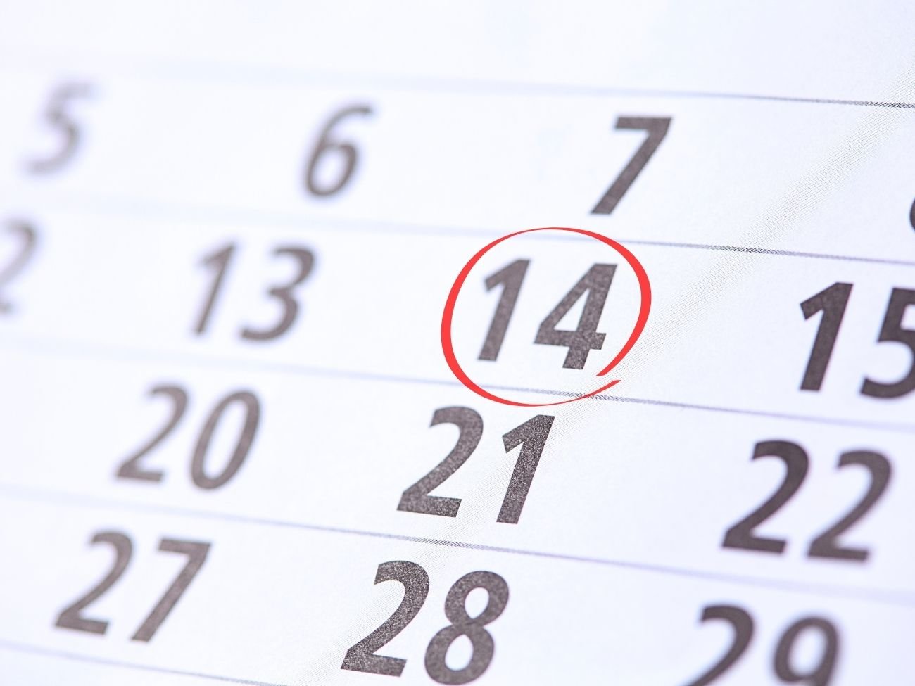 Dodatkowy dzień wolny od szkoły? Jest projekt nowego święta 14 lutego