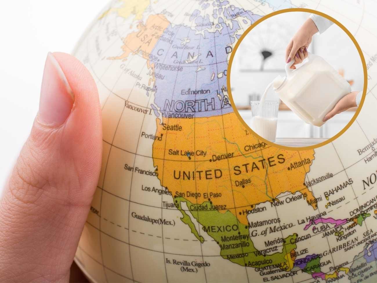 Dlaczego Amerykanie piją mleko w galonach?