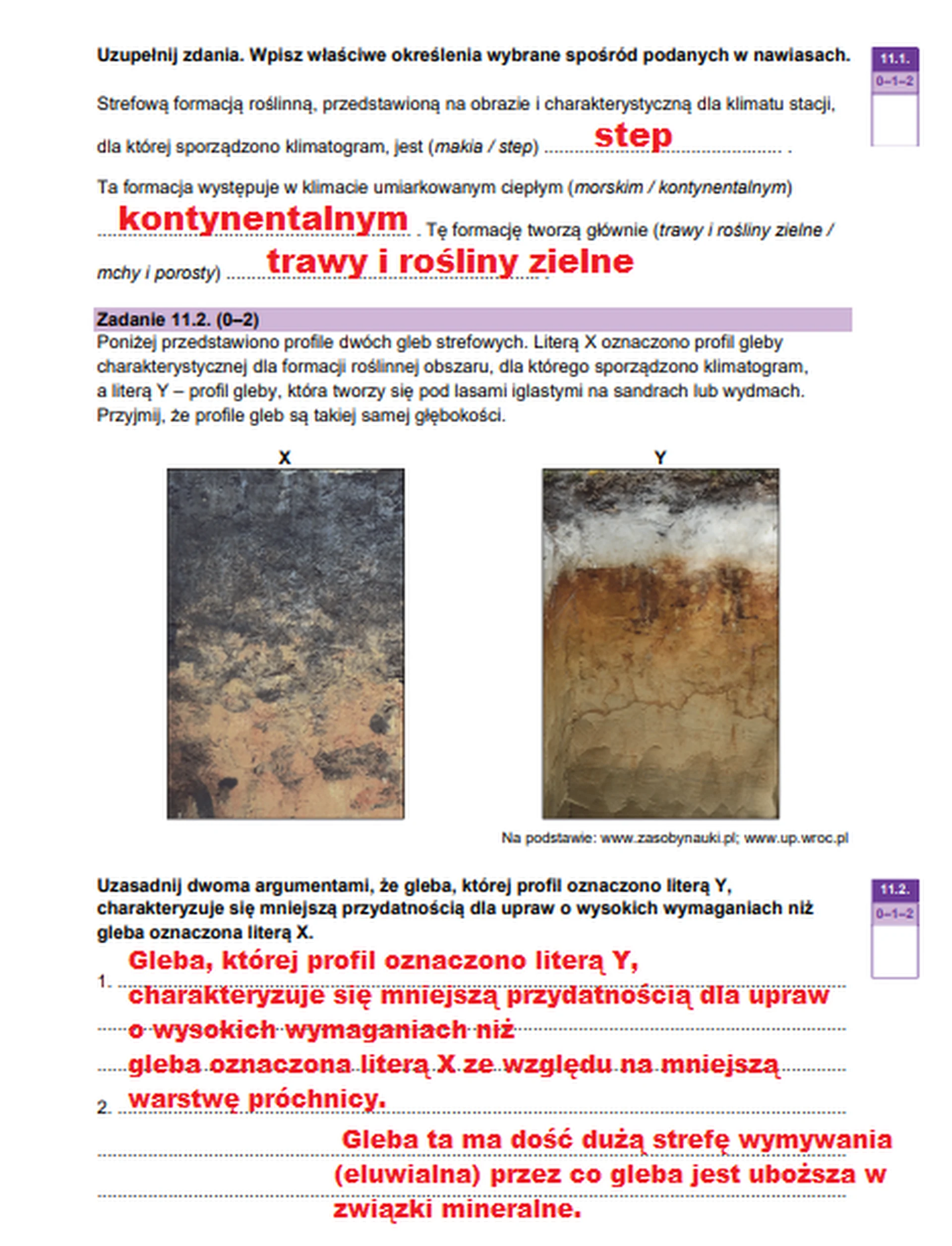 Matura maj 2024. Geografia, poziom rozszerzony – strona 12