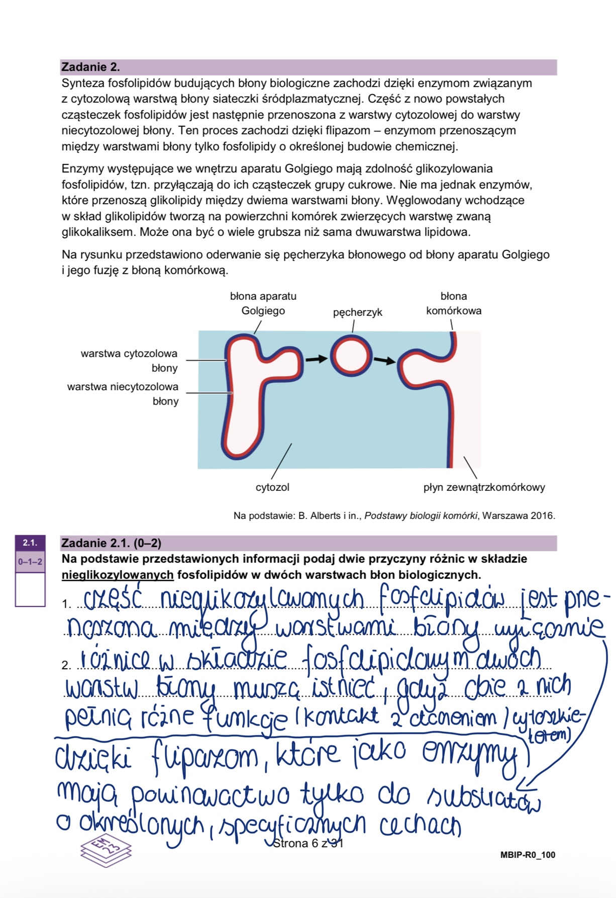 Matura styczeń 2026. Biologia, poziom rozszerzony – strona 6
