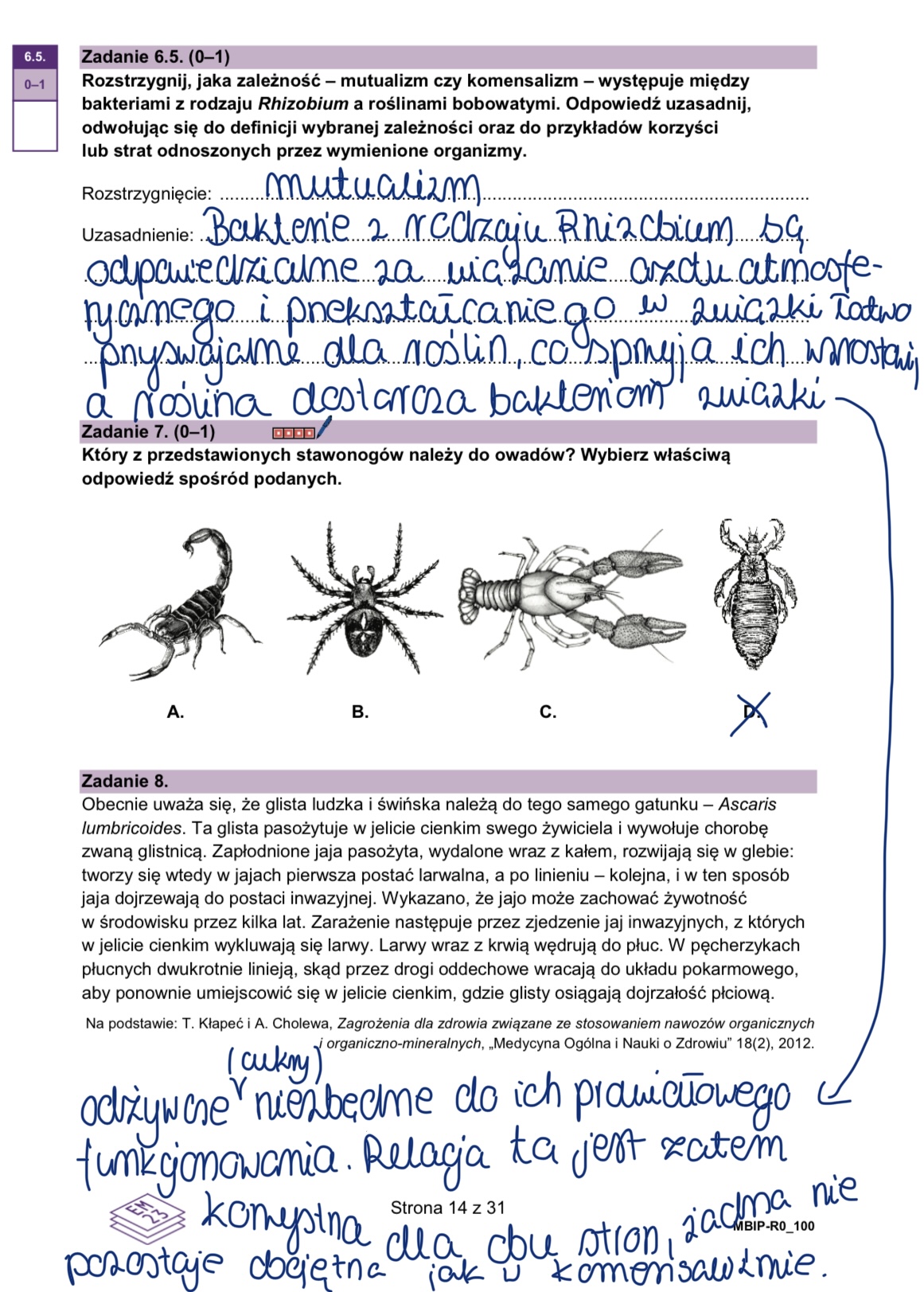 Matura styczeń 2026. Biologia, poziom rozszerzony – strona 14