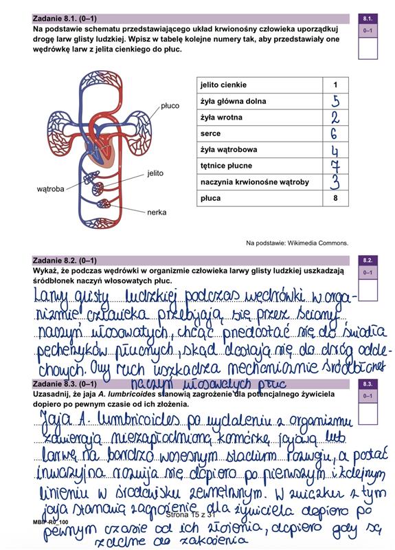 Matura styczeń 2026. Biologia, poziom rozszerzony – strona 15