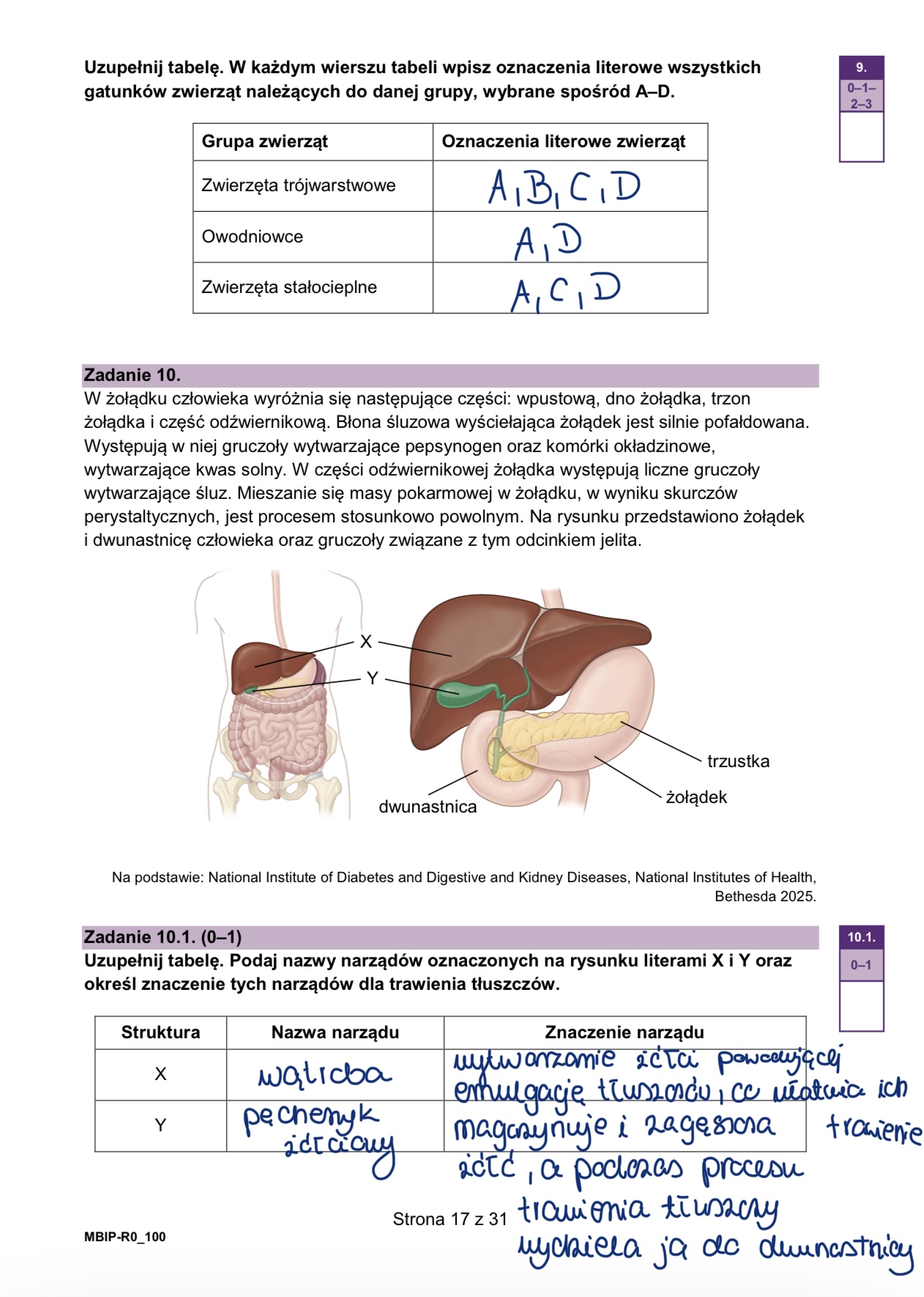 Matura styczeń 2026. Biologia, poziom rozszerzony – strona 17