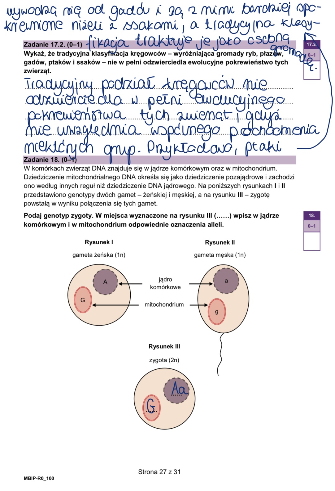 Matura styczeń 2026. Biologia, poziom rozszerzony – strona 27