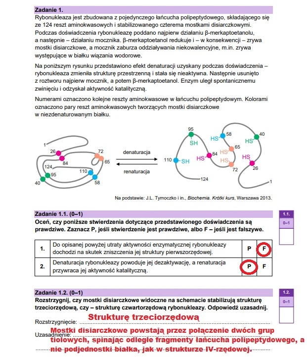Matura maj 2025. Biologia, poziom rozszerzony – strona 3