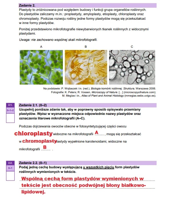 Matura maj 2025. Biologia, poziom rozszerzony – strona 4