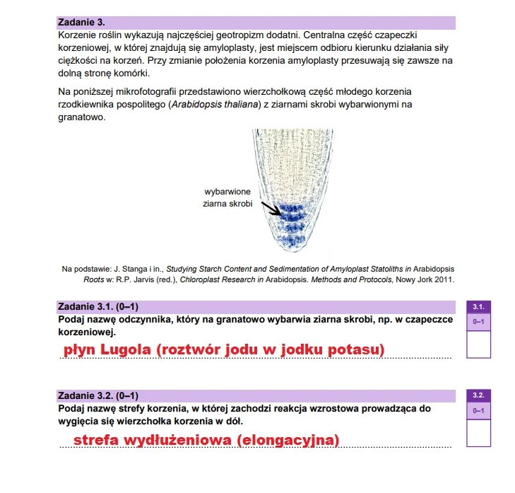 Matura maj 2025. Biologia, poziom rozszerzony – strona 5