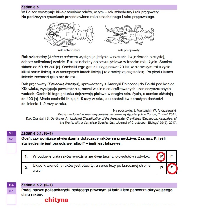 Matura maj 2025. Biologia, poziom rozszerzony – strona 8