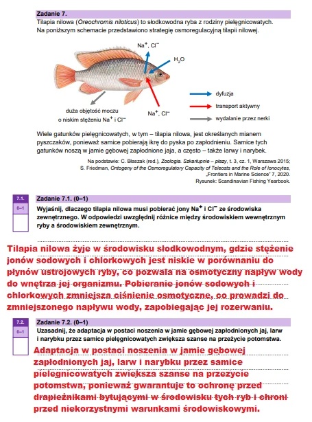 Matura maj 2025. Biologia, poziom rozszerzony – strona 12