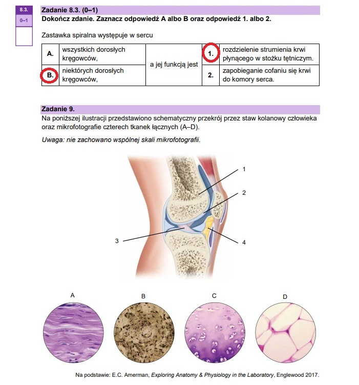 Matura maj 2025. Biologia, poziom rozszerzony – strona 14