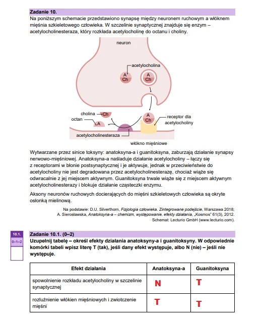 Matura maj 2025. Biologia, poziom rozszerzony – strona 16