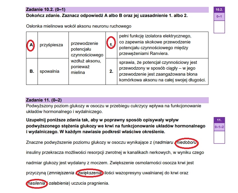 Matura maj 2025. Biologia, poziom rozszerzony – strona 17