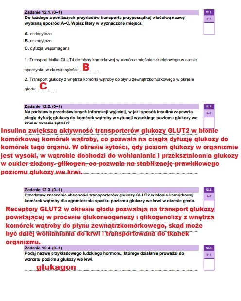 Matura maj 2025. Biologia, poziom rozszerzony – strona 19