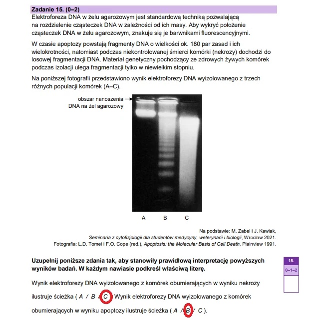 Matura maj 2025. Biologia, poziom rozszerzony – strona 23
