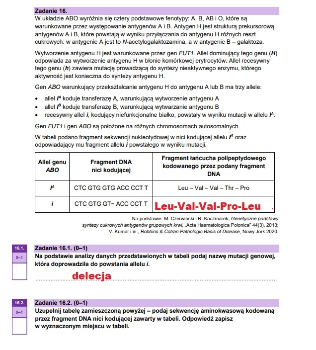 Matura maj 2025. Biologia, poziom rozszerzony – strona 24