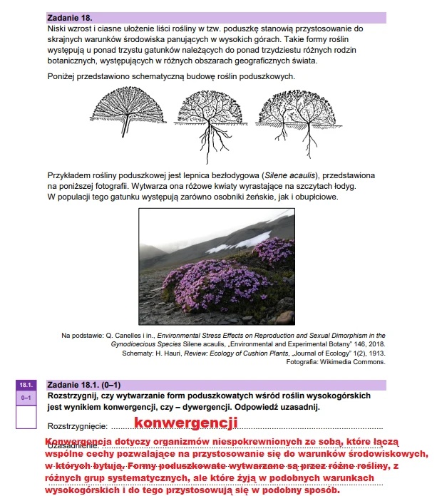 Matura maj 2025. Biologia, poziom rozszerzony – strona 28