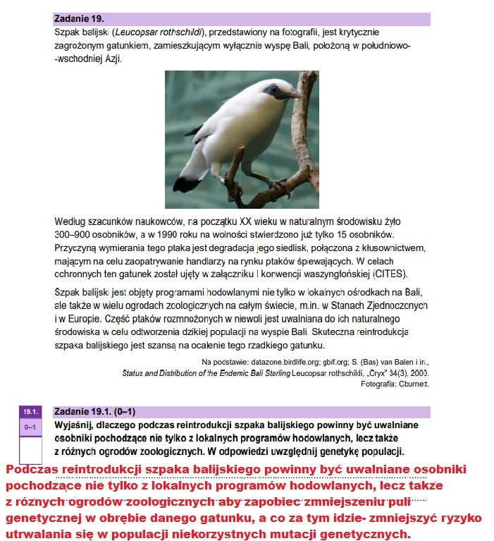 Matura maj 2025. Biologia, poziom rozszerzony – strona 30