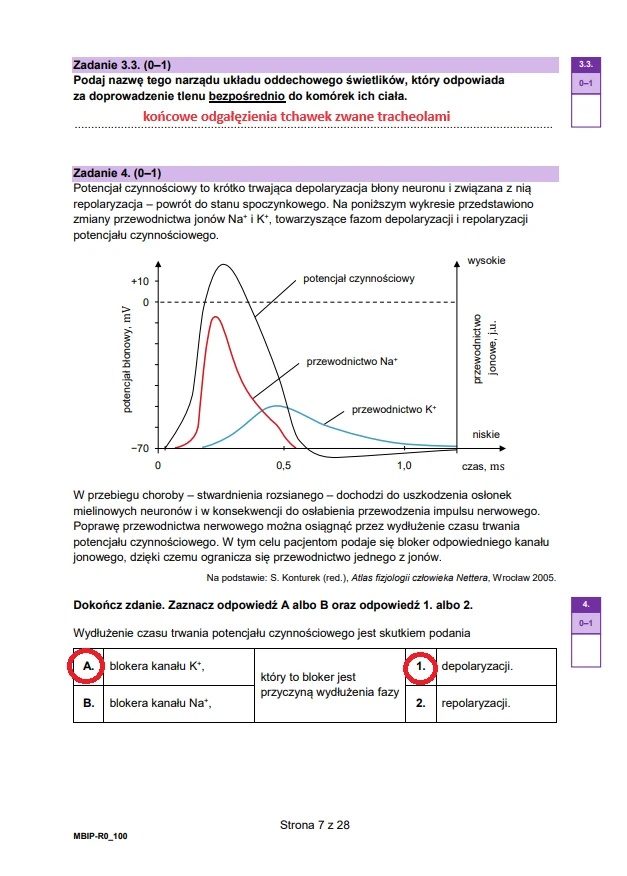 Matura maj 2024. Biologia, poziom rozszerzony – strona 7