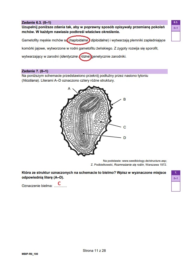 Matura maj 2024. Biologia, poziom rozszerzony – strona 11