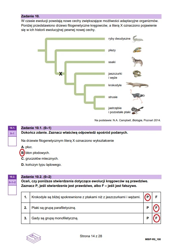 Matura maj 2024. Biologia, poziom rozszerzony – strona 14