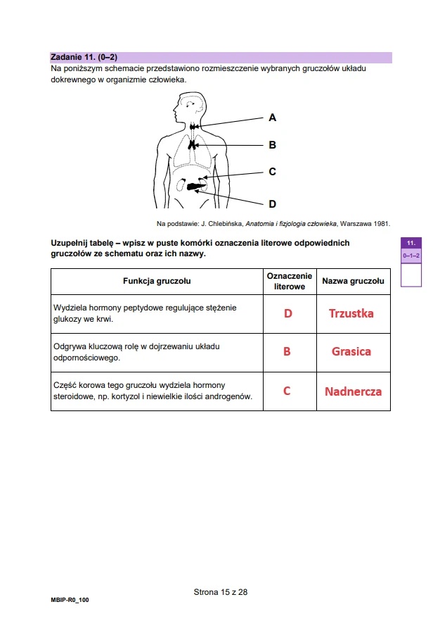Matura maj 2024. Biologia, poziom rozszerzony – strona 15