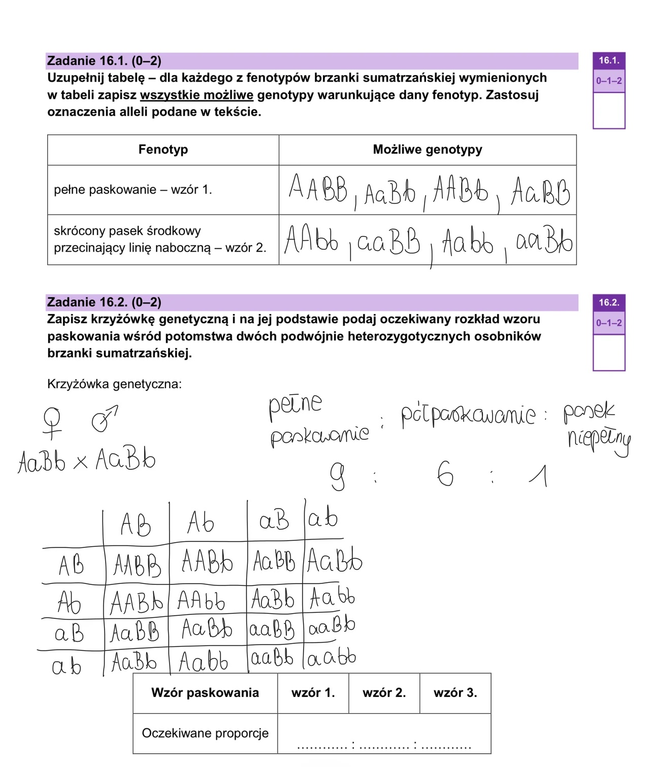 Matura maj 2024. Biologia, poziom rozszerzony – strona 21