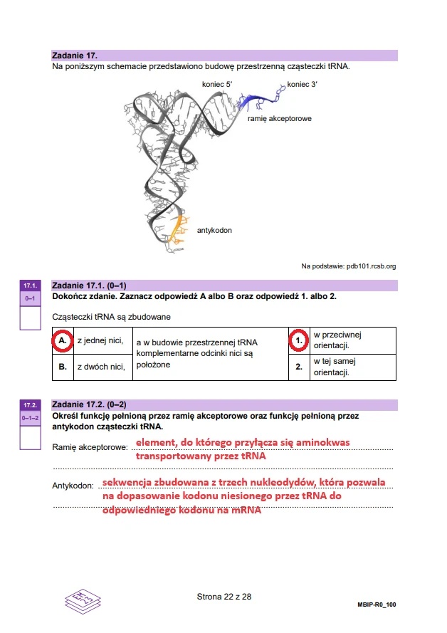 Matura maj 2024. Biologia, poziom rozszerzony – strona 22