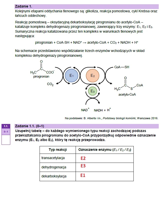 Matura maj 2023. Biologia, poziom rozszerzony – strona 4
