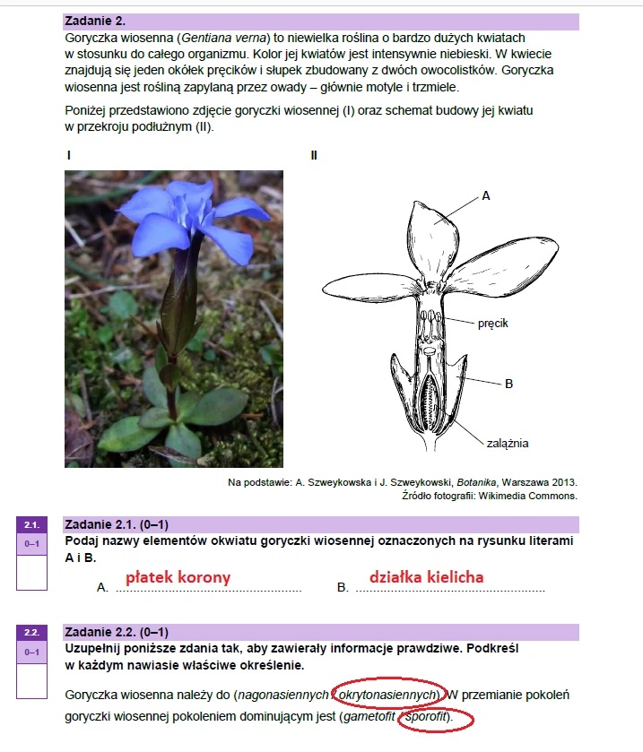 Matura maj 2023. Biologia, poziom rozszerzony – strona 6