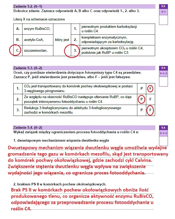 Matura maj 2023. Biologia, poziom rozszerzony – strona 11