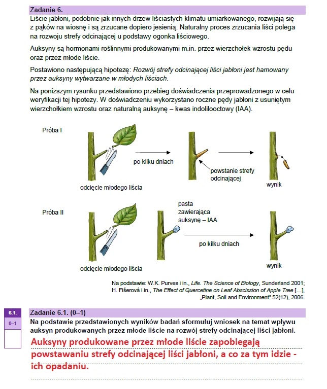 Matura maj 2023. Biologia, poziom rozszerzony – strona 12