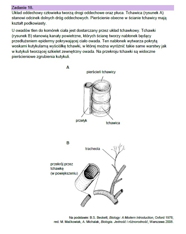 Matura maj 2023. Biologia, poziom rozszerzony – strona 16