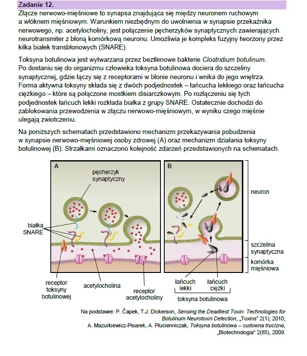 Matura maj 2023. Biologia, poziom rozszerzony – strona 20
