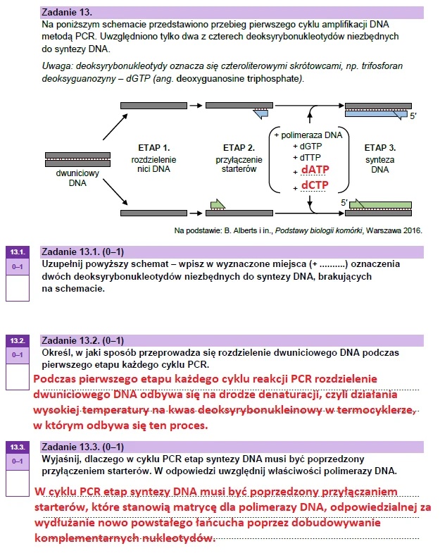 Matura maj 2023. Biologia, poziom rozszerzony – strona 22