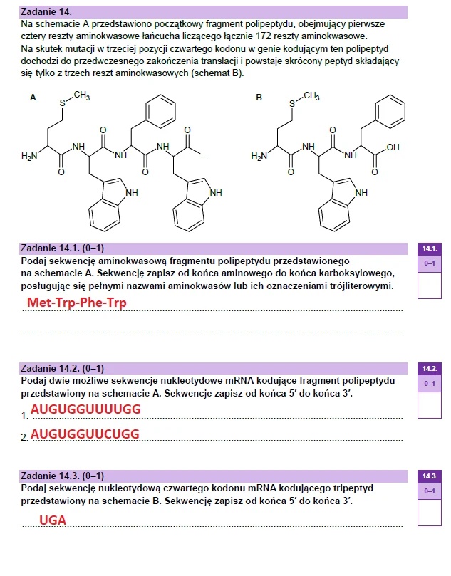 Matura maj 2023. Biologia, poziom rozszerzony – strona 23