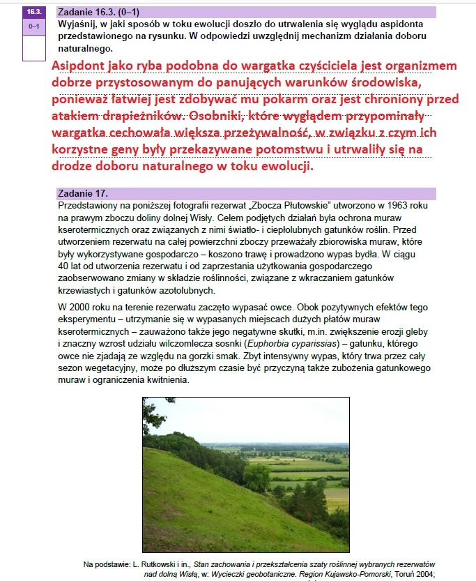 Matura maj 2023. Biologia, poziom rozszerzony – strona 26