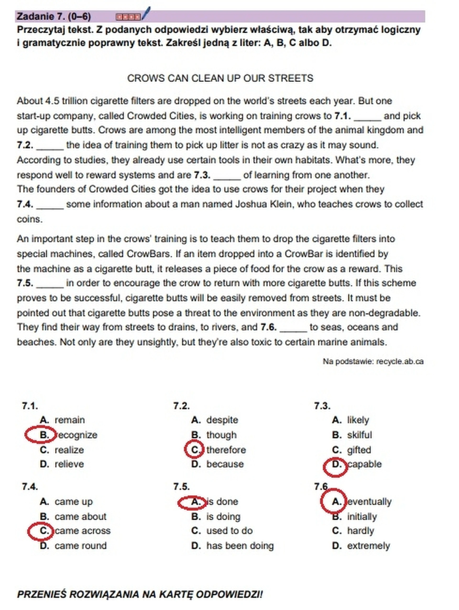Matura maj 2024. Język angielski, poziom rozszerzony – strona 14