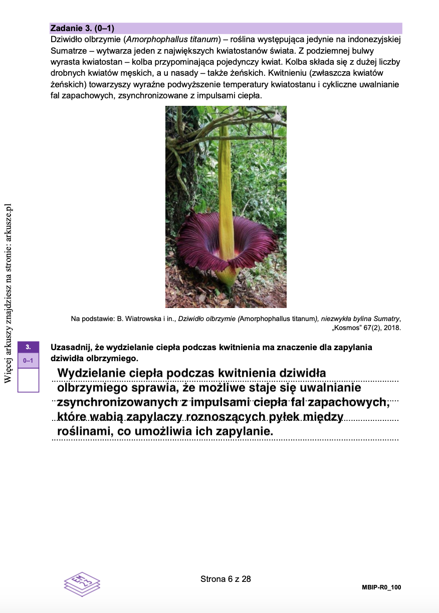 Matura próbna grudzień 2024. Biologia, poziom rozszerzony – strona 4